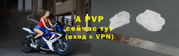 шишки Тобольск