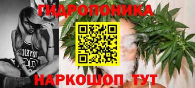 spice Берёзовский