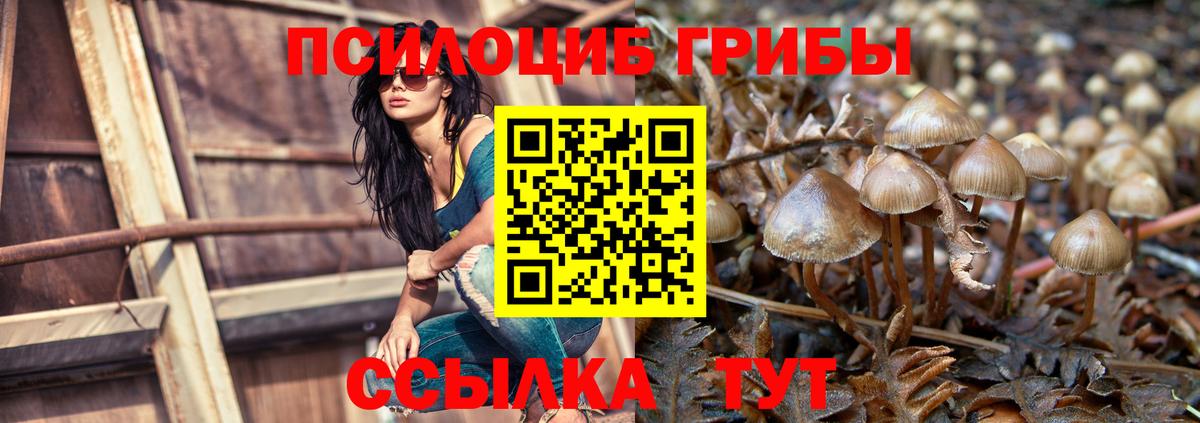 Домодедово  Псилоцибиновые грибы GOLDEN TEACHER  Вход с VPN 
